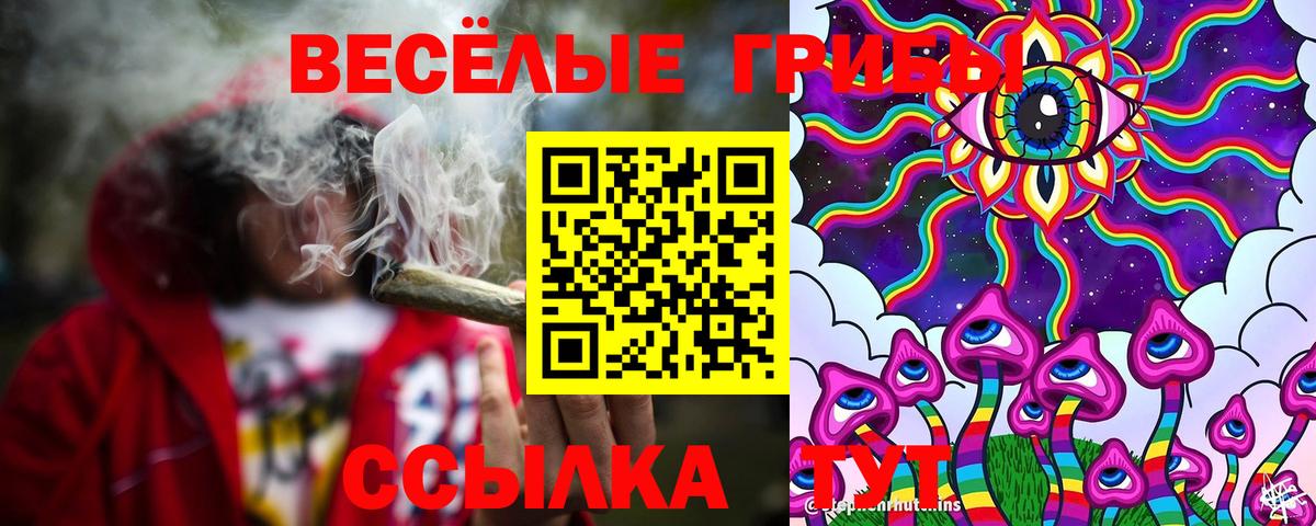 Берёзовский  Галлюциногенные грибы ЛСД  Вход с VPN  Псилоцибиновые грибы Cubensis 