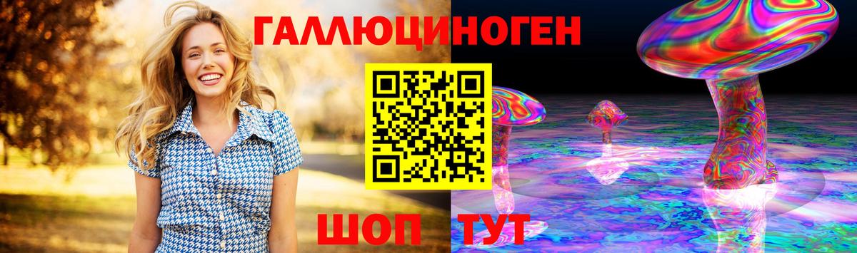 Псилоцибиновые грибы Cubensis Берёзовский